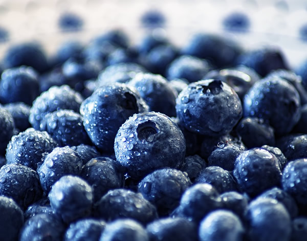 冷凍藍莓，一個被嚴重低估的產品